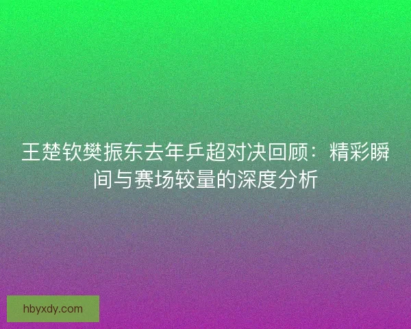 王楚钦樊振东去年乒超对决回顾：精彩瞬间与赛场较量的深度分析
